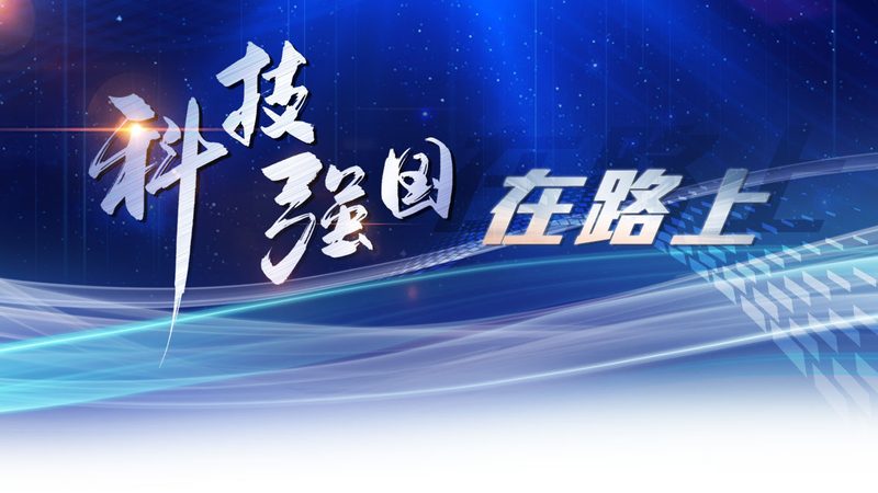 动态数据可视化的关键技术实现路径
